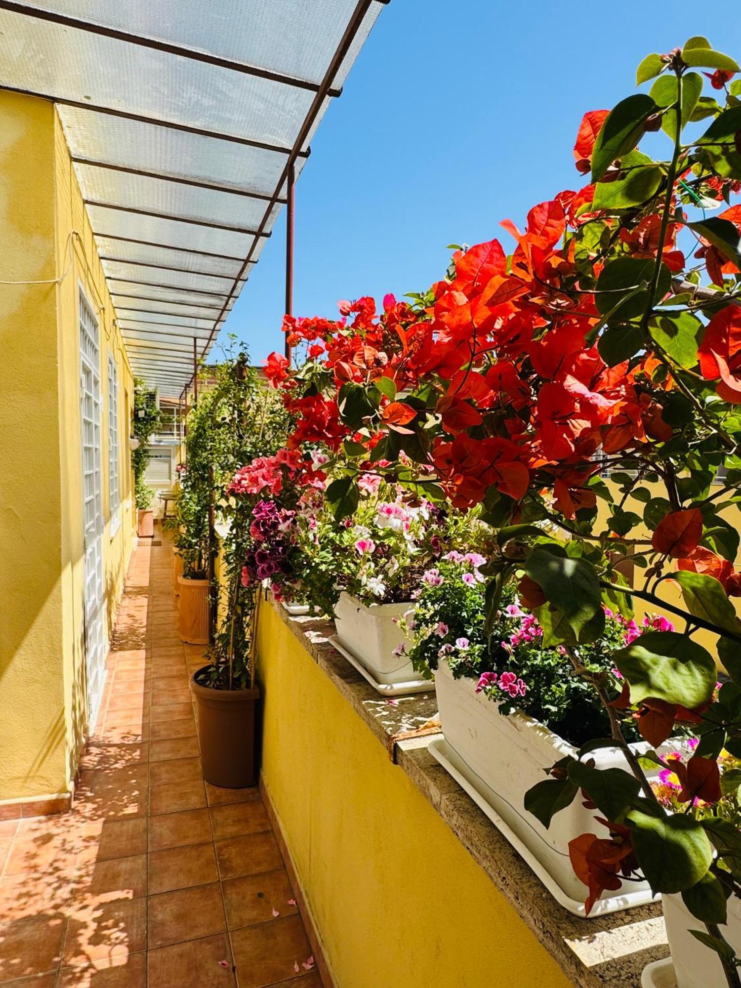 Otranto 36 Apartment Rome Exterior photo